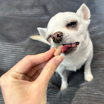 Freeze-Dried Raw Duck Treats