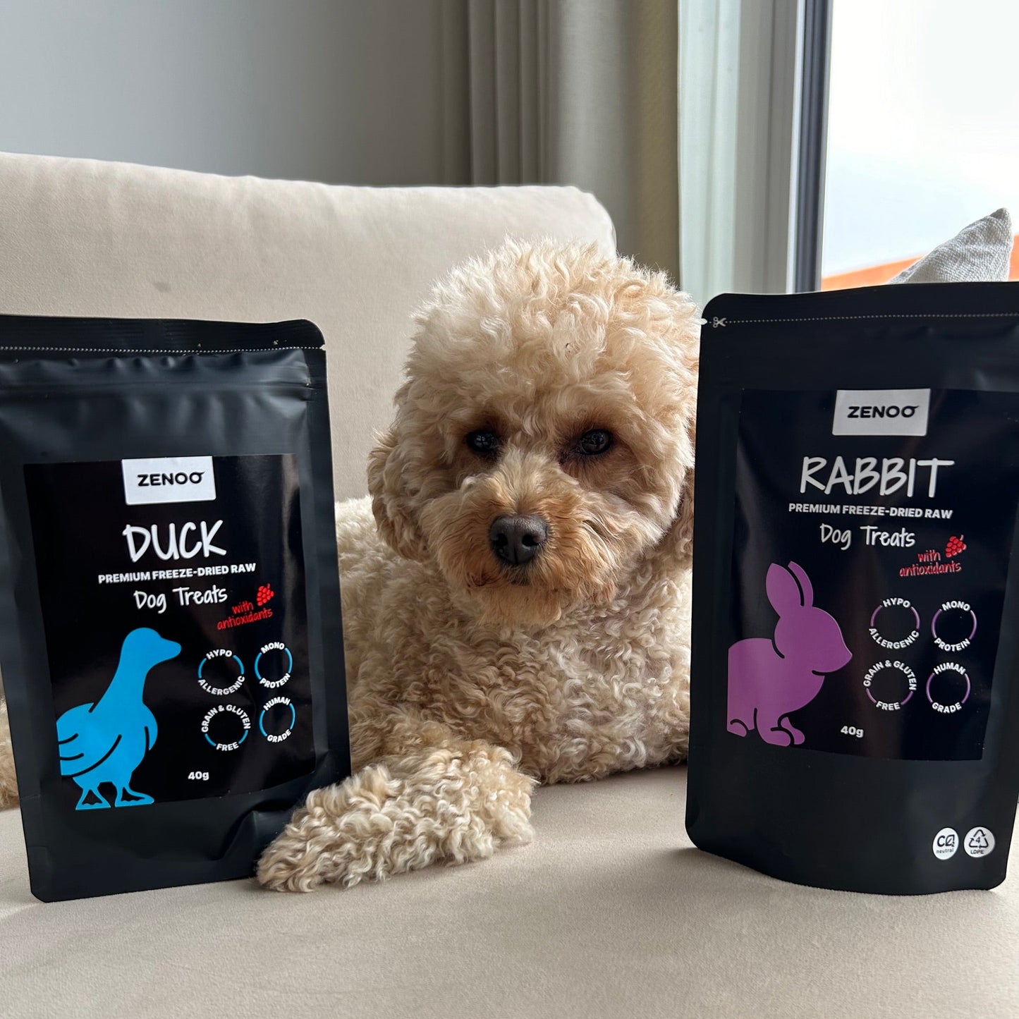 Freeze-Dried Raw Duck Treats