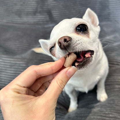 Freeze-Dried Raw Rabbit Treats