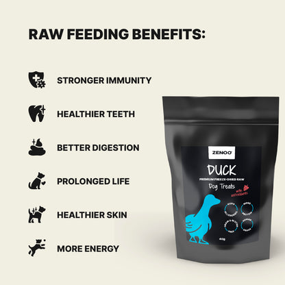 Freeze-Dried Raw Duck Treats